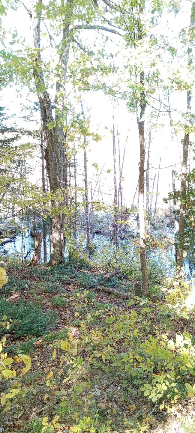 1891 Mountain Rd, Home with 0 bedrooms, 0 bathrooms and null parking in Tamworth ON | Image 8