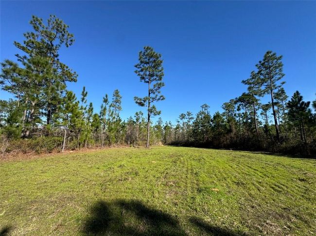 0 Robert White Rd, Home with 0 bedrooms, 0 bathrooms and null parking in Bay Minette AL | Image 26