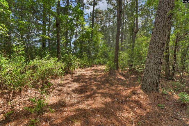0000 N Brewington Rd, Home with 0 bedrooms, 0 bathrooms and null parking in Manning SC | Image 51