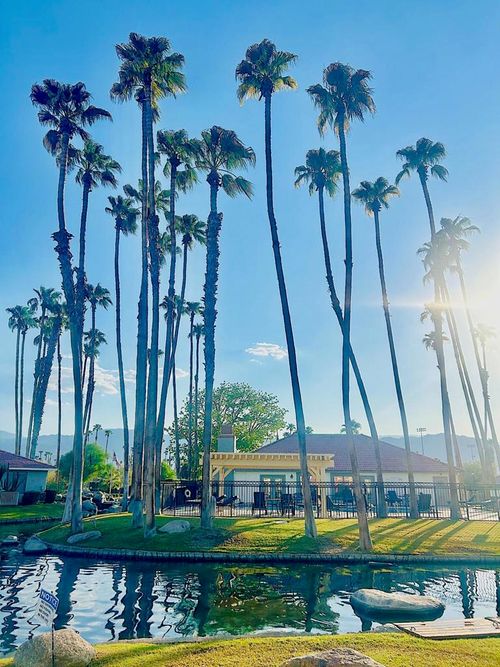 unit-87-43376 Cook St, Palm Desert, CA, 92211-3177 | Card Image