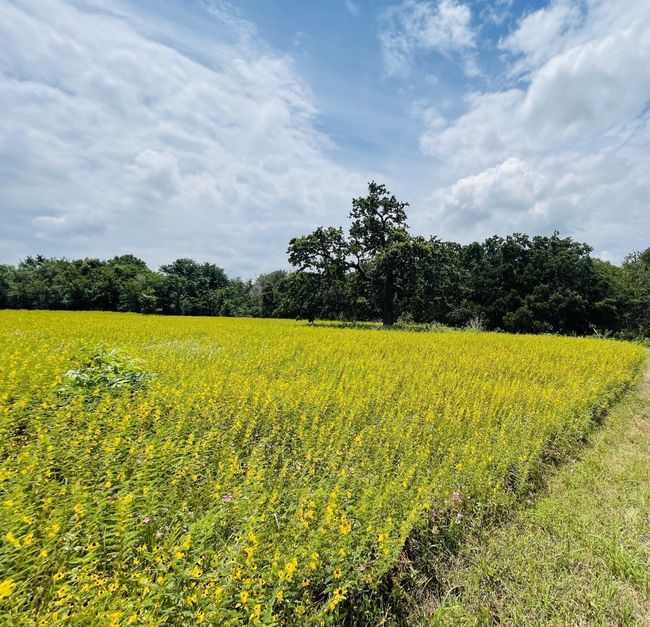 1037 Gonzollas Rd, Home with 0 bedrooms, 0 bathrooms and null parking in Springtown TX | Image 14