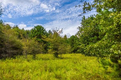 0 County Road 447, Home with 0 bedrooms, 0 bathrooms and null parking in Laneville TX | Image 2