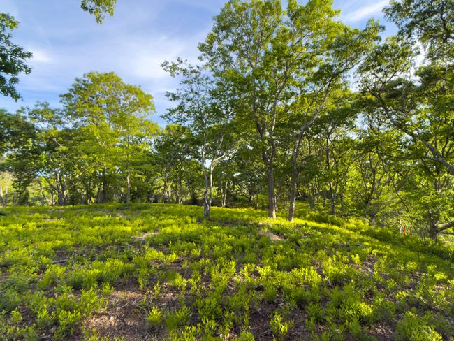4 Cedar Ln, Home with 0 bedrooms, 0 bathrooms and null parking in Chilmark MA | Image 26
