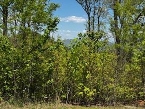 Lot 68 Bowers Rd, Blairsville, GA, 30512 | Card Image