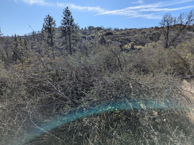 141517 Dunlap Rd, Home with 0 bedrooms, 0 bathrooms and null parking in Miramonte CA | Image 4