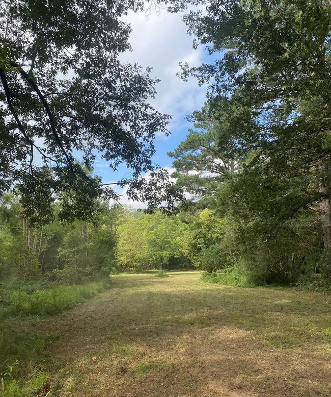 00 Cohutta Beaverdale Rd, Home with 0 bedrooms, 0 bathrooms and null parking in Cohutta GA | Image 31