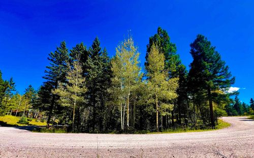 71 Calle De Los Indios, Angel Fire, NM, 87710 | Card Image