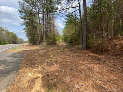 0 Hwy 17, Home with 0 bedrooms, 0 bathrooms and null parking in Reform AL | Image 2