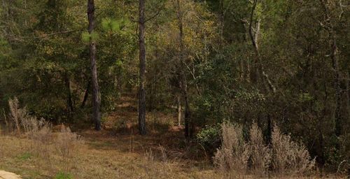 0 Marion Ave, Interlachen, FL, 32148 | Card Image