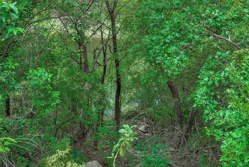 14704 Agarita Rd, Austin, TX, 78734-2028 | Card Image