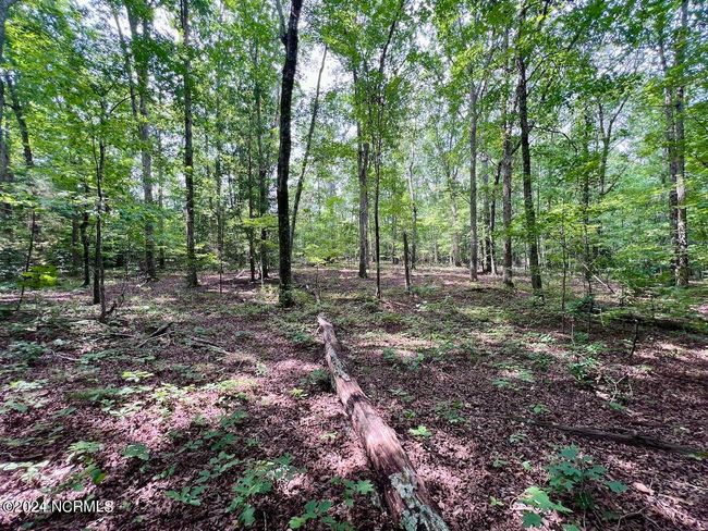 27 Gordon Ln, Home with 0 bedrooms, 0 bathrooms and null parking in Macon NC | Image 12