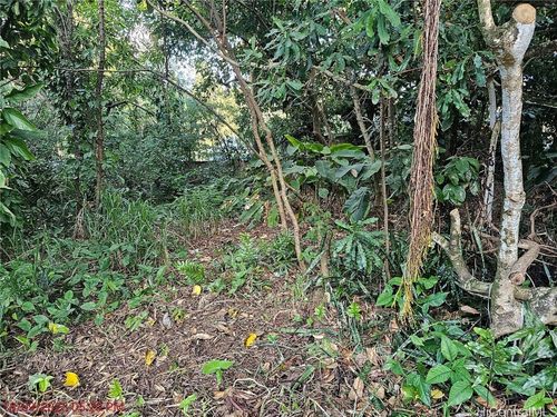 0 Kahiapo Pl, Haiku, HI, 96708 | Card Image