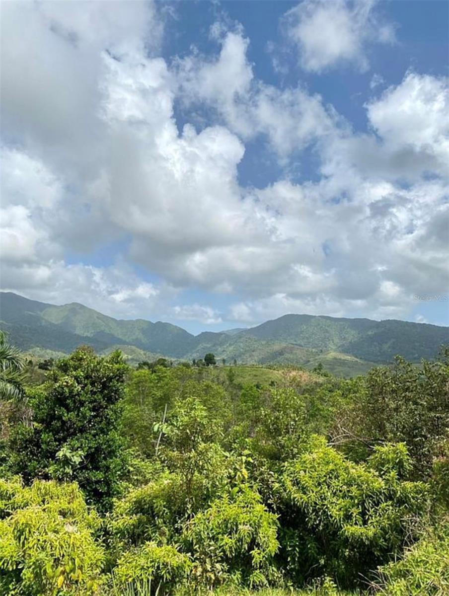 Land en venta en CEIBA, 975 CEIBA , BO RIO ABAJO