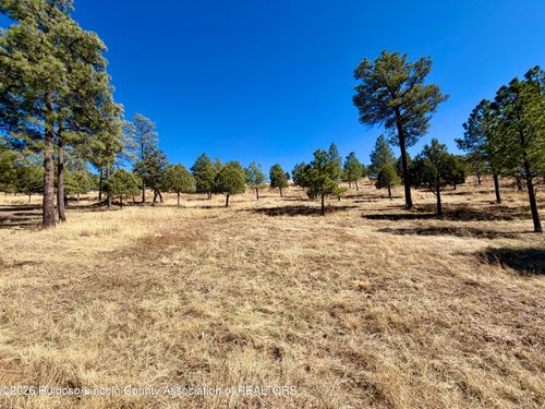 114 Charles Mcclellan Dr, Ruidoso, NM, 88345-5525 | Card Image