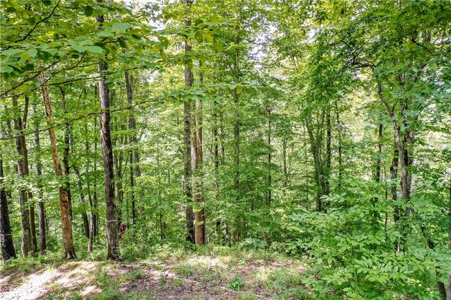 533 Shooting Tree Way, Home with 0 bedrooms, 0 bathrooms and null parking in Salem SC | Image 12
