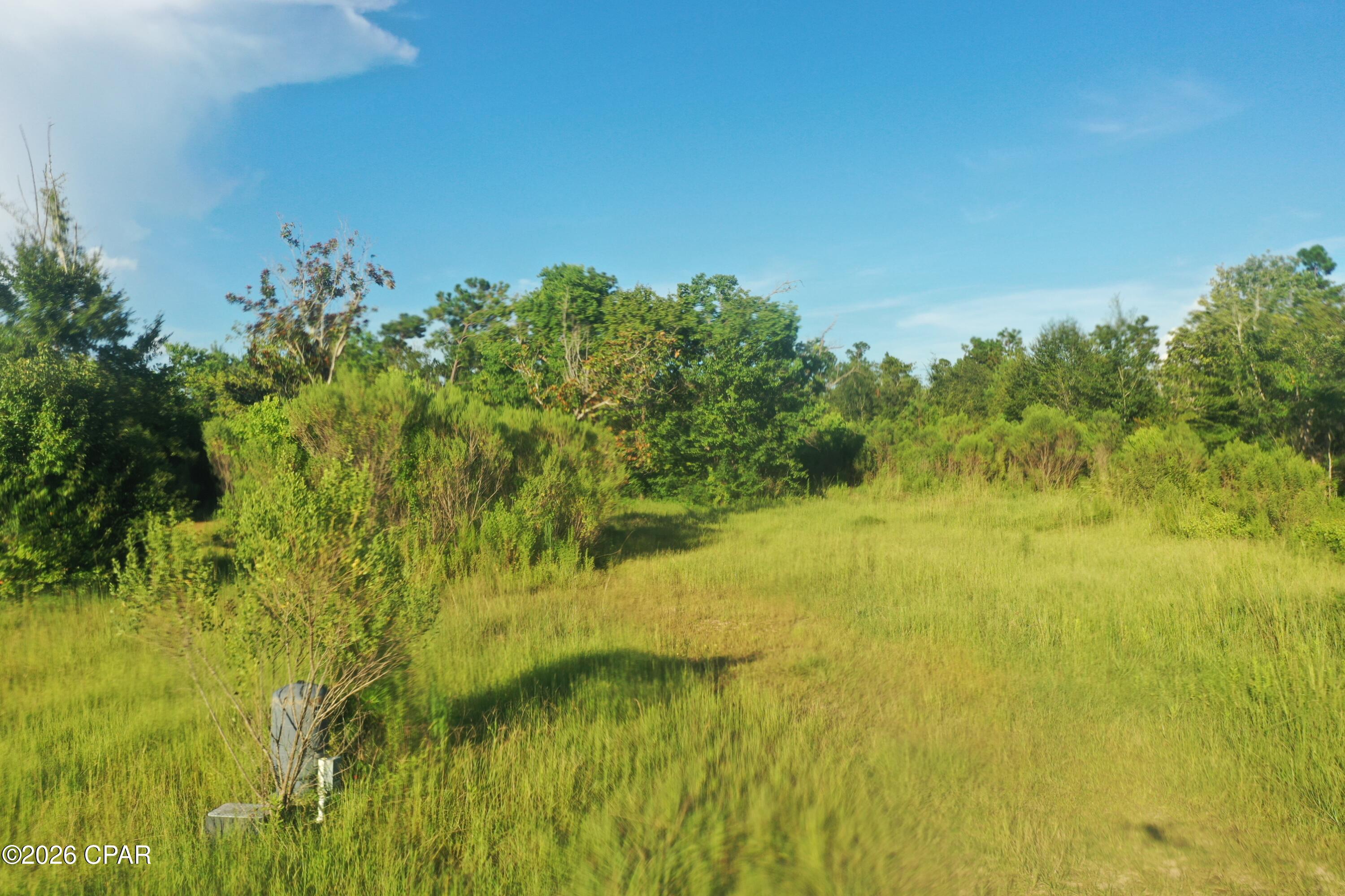 Land in Panama City 2
