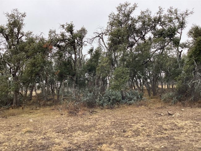 View of landscape | Image 5