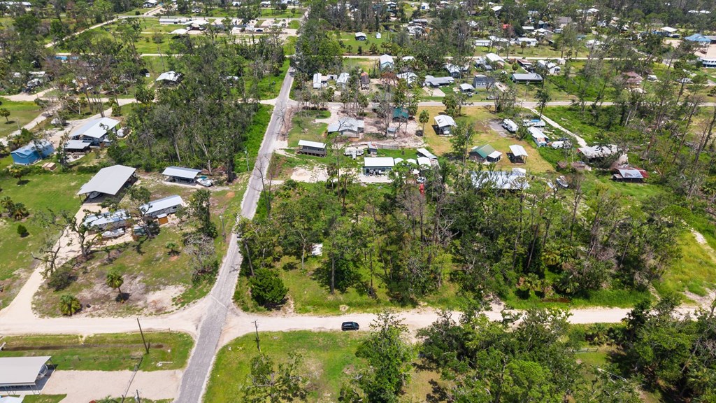 Land in Steinhatchee 5