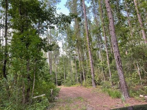 0 E Three Notch St, Andalusia, AL, 36421 | Card Image