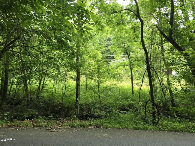 8 Mccarter Hollow Rd, Home with 0 bedrooms, 0 bathrooms and null parking in Sevierville TN | Image 15