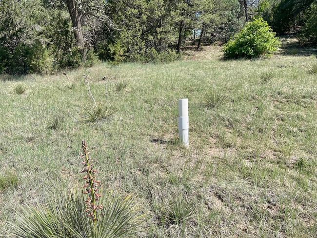5 Yucca Flats Rd, Home with 0 bedrooms, 0 bathrooms and null parking in Tijeras NM | Image 10