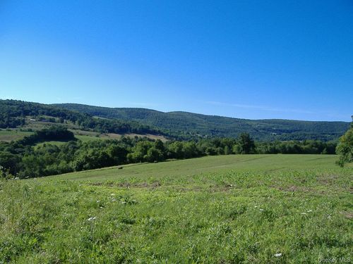L2.112 Ploss Road, Out of Area, NY, 12149 | Card Image