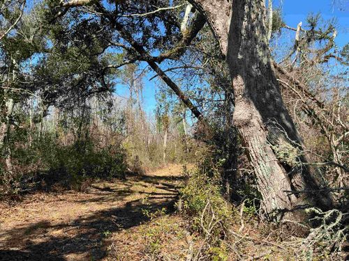 TBD Sw Cow Rd, Madison, FL, 32340 | Card Image