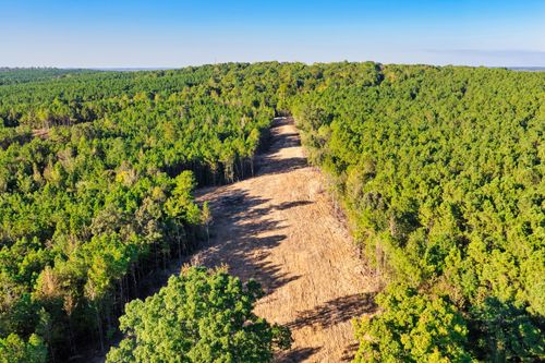 0 Williams Grove Rd, Camden, TN, 38320 | Card Image