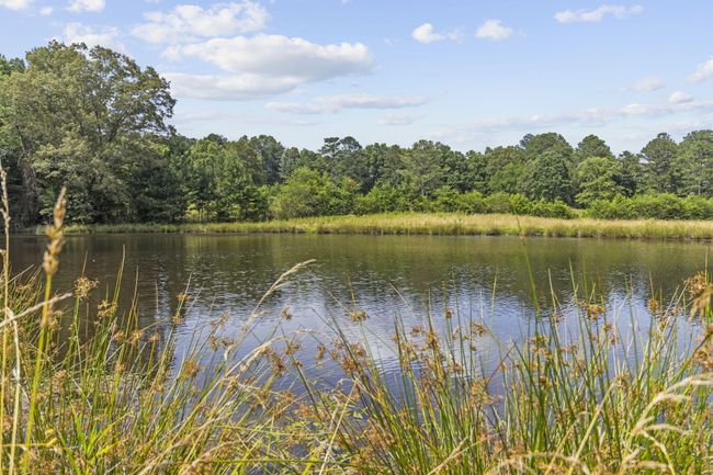 989 Kay Conley Rd, House other with 4 bedrooms, 4 bathrooms and null parking in Rock Spring GA | Image 85