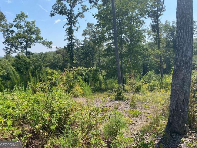 0 Woodstone Trail, Home with 0 bedrooms, 0 bathrooms and null parking in Ellijay GA | Image 16