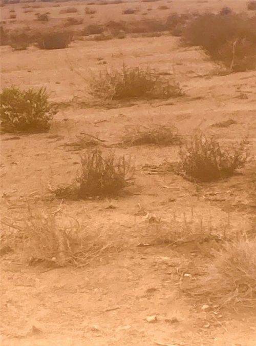 0 N Avenida Sierra Madre, Kingman, AZ, 86409 | Card Image