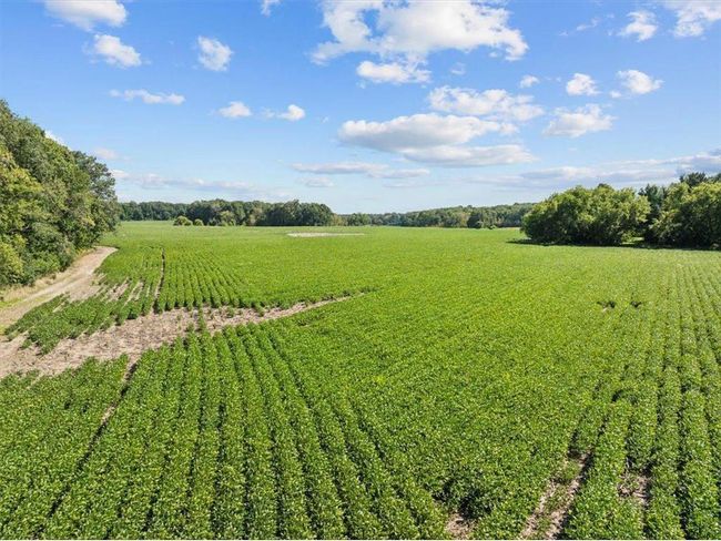 2389 Us Highway 63, Home with 0 bedrooms, 0 bathrooms and null parking in CLEAR LAKE WI | Image 10