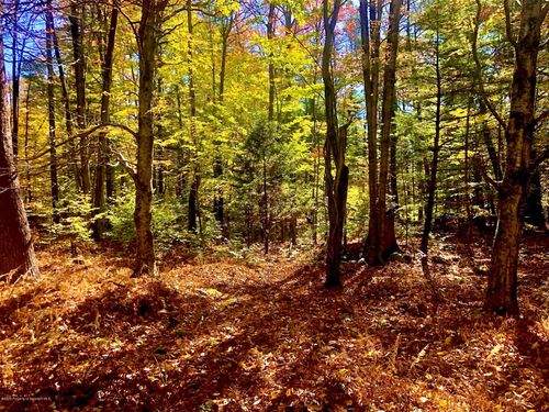 36 Kimberly Ln, Thornhurst, PA, 18424-8012 | Card Image