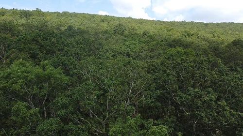 Lot 56-A Ridgetop Lane, Tazewell, VA, 24651 | Card Image