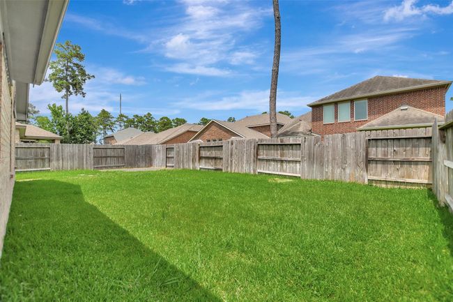 Back Yard | Image 12