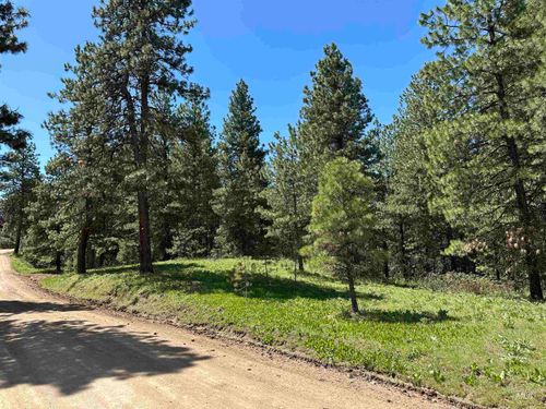 TBD Cruikshank Rd, Banks, ID, 83602 | Card Image