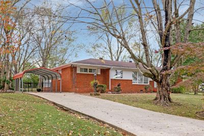 Gorgeous Mostly Brick Property Perfectly Nestled on a Wooded almost Half Acre Lot! | Image 1