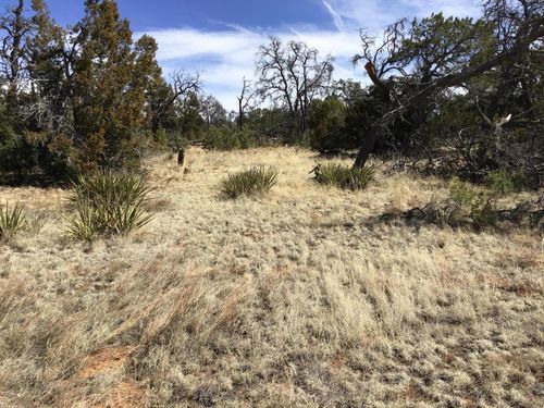 Lot 651 Gabe Road, Ramah, NM, 87321 | Card Image