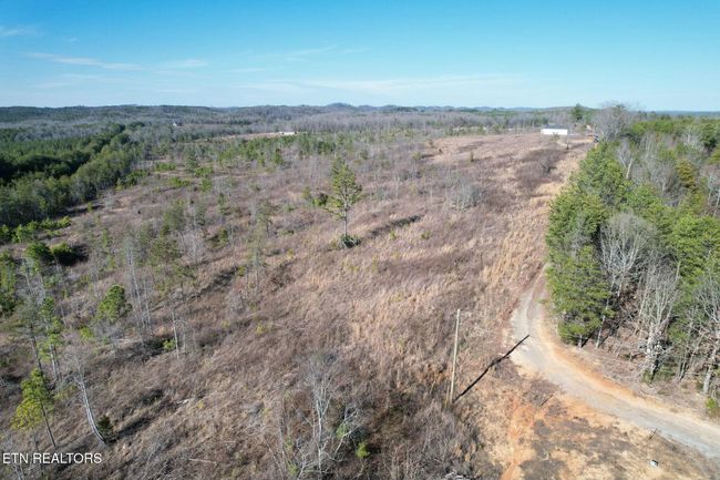 360 County Road 963, Home with 0 bedrooms, 0 bathrooms and null parking in Calhoun TN | Image 4