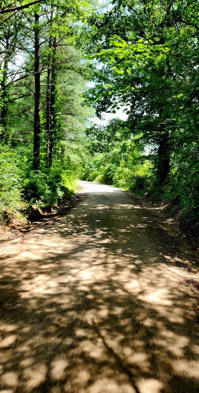 5199 Burkett Chapel Rd, Home with 4 bedrooms, 2 bathrooms and null parking in Whitwell TN | Image 39