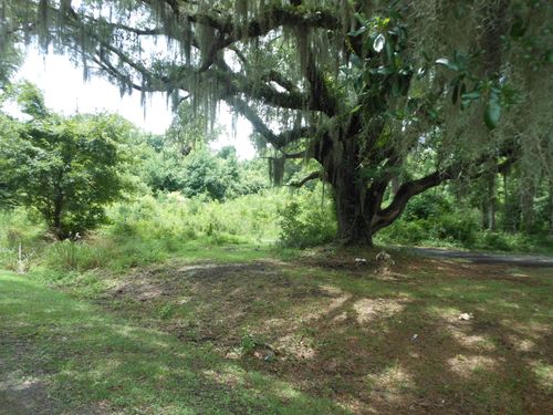 8046 Cedar Hall Rd, Edisto Island, SC, 29438-6404 | Card Image