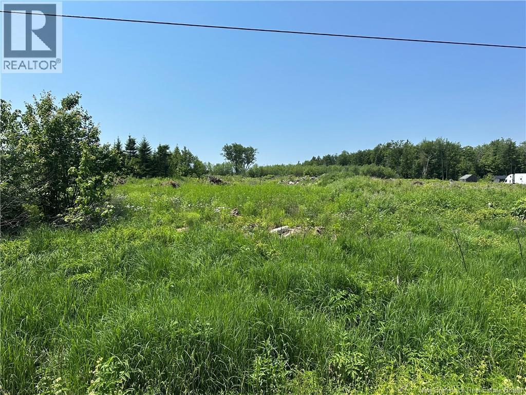 Land in Hamtown Corner 2