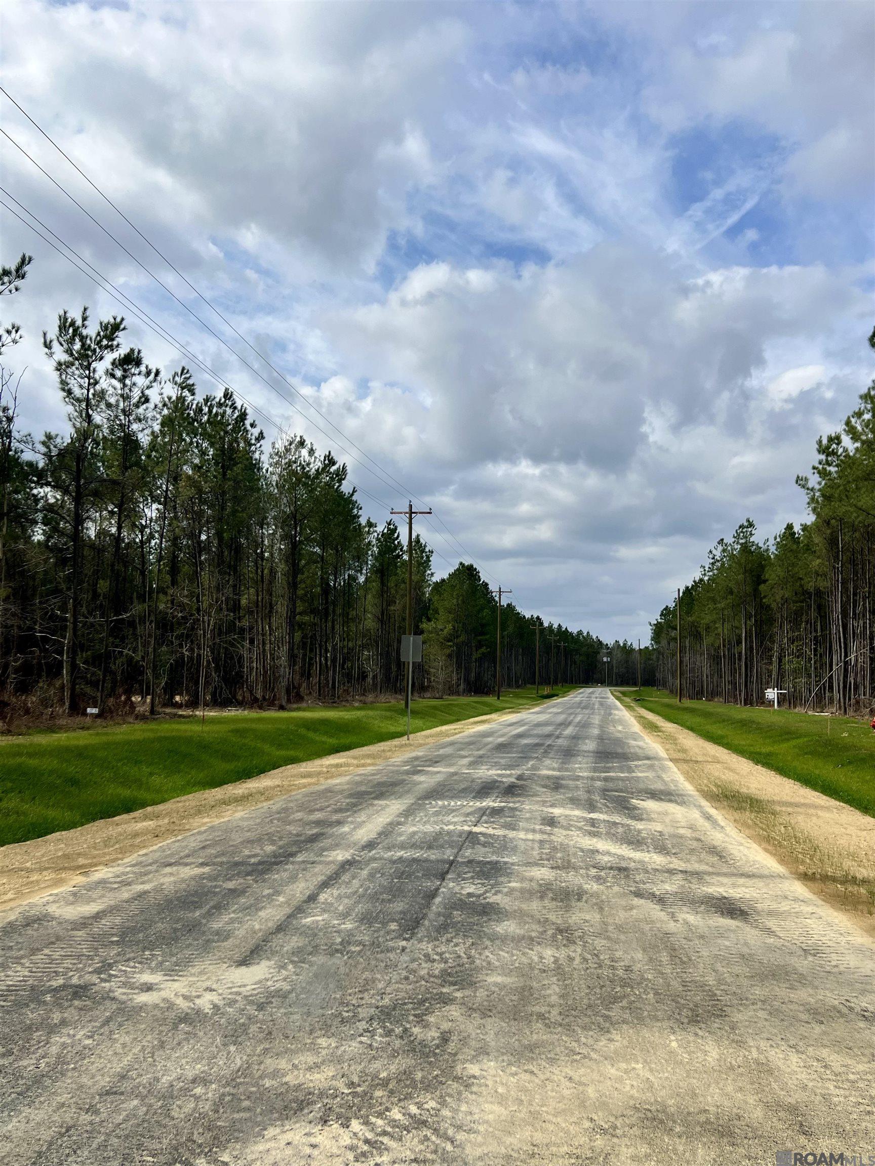 Land in Livingston 4