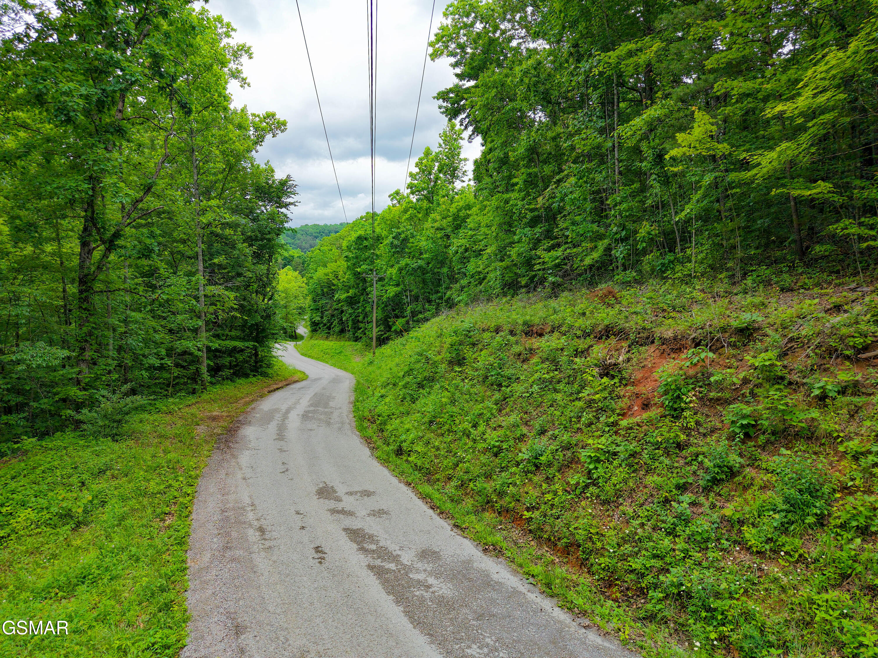 Land in La Follette 5