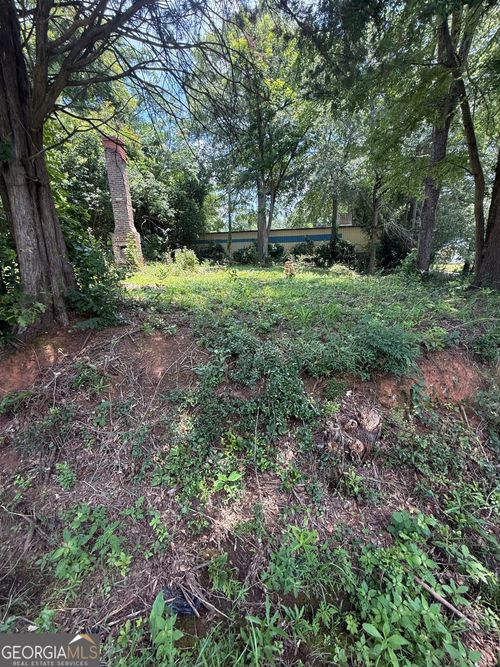 0 S Phelps St, Forsyth, GA, 31029 | Card Image
