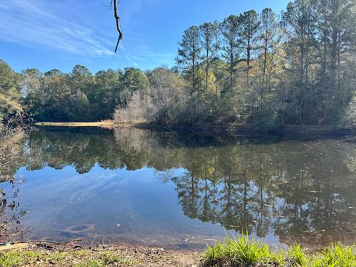 0 Gibson St, Elba, AL, 36323 | Card Image