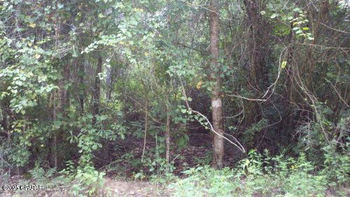 0 Tj Mitchell Rd, Bonifay, FL, 32425 | Card Image