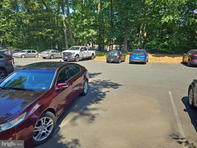 APT-45 - 4360 Ivymount Ct, Condo with 2 bedrooms, 1 bathrooms and null parking in ANNANDALE VA | Image 14