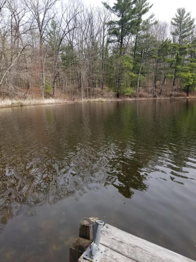 15 W 12 Mile Rd, Home with 0 bedrooms, 0 bathrooms and null parking in Irons MI | Image 16