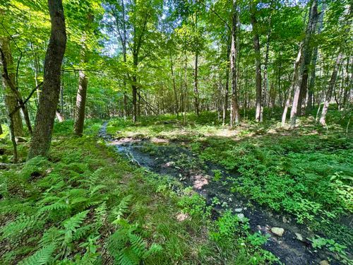 00 Mountain Rd, Bath, NH, 03740 | Card Image